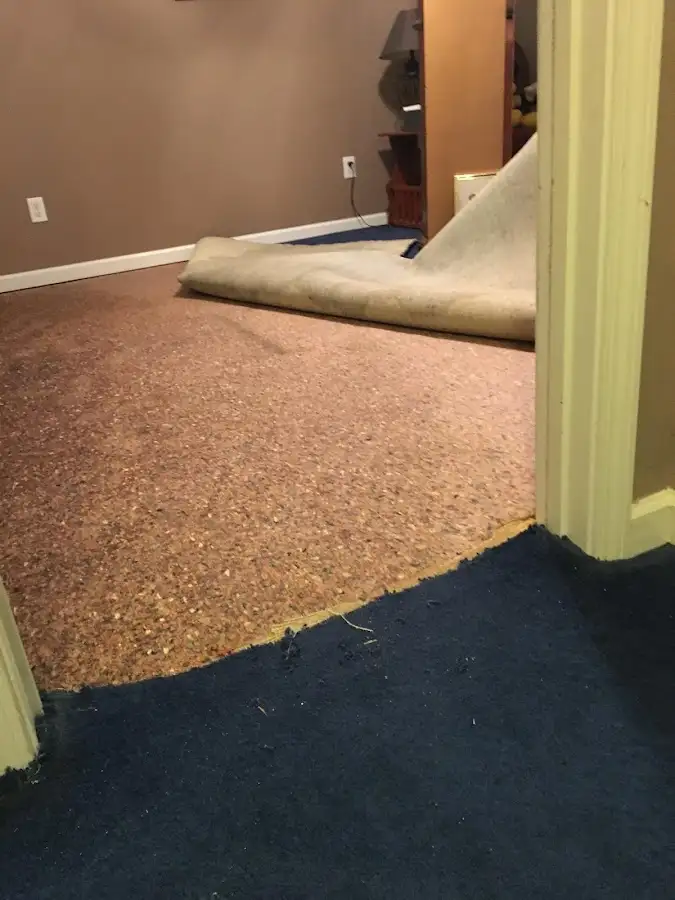 Carpet pad removal revealing water damage during Water Mitigation Services in Socastee