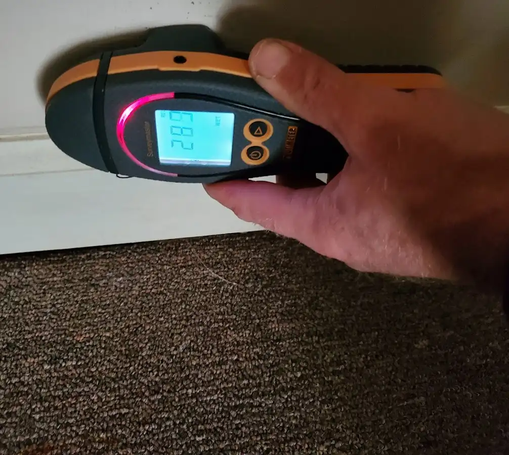 Moisture detection at baseboard during Burst Pipe Cleanup in Socastee